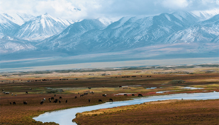 日喀则市海拔高度 日喀则市海拔高度是多少米 
