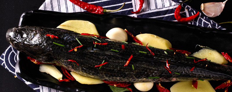 黑鱼又叫什么鱼名称 黑鱼又叫什么名字