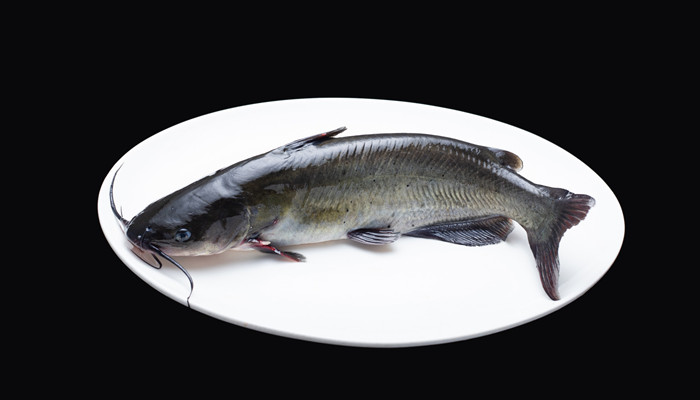 黑鱼又叫什么鱼名称 黑鱼又叫什么名字