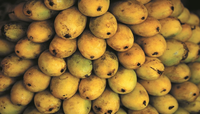 芒果热量高吗 吃芒果上火吗