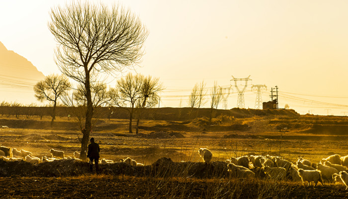 一坪是多少平米 一坪是多少平方