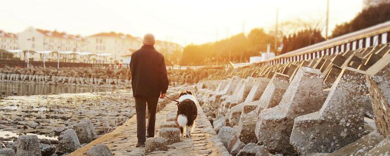 梦见狗爬到自己身上甩不掉 梦见狗缠着自己甩不掉