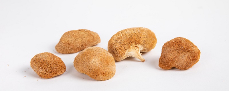 猴头菇苦是怎么回事 猴头菇发苦是什么原因