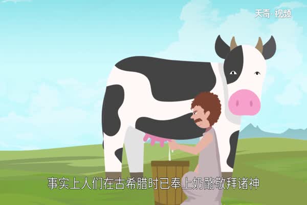 芝士是什么 芝士是什么做的