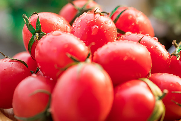 小柿子的功效与作用 小柿子的禁忌