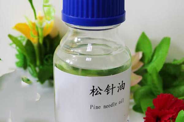 松针油的功效与作用 松针油的禁忌