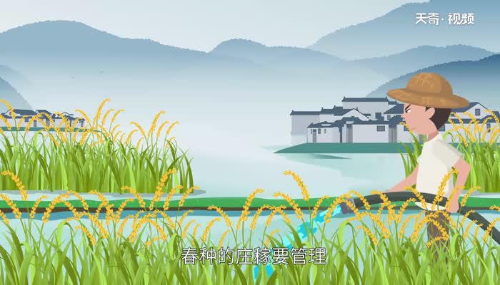 芒种节气的特点是什么 芒种节气的特征有哪些