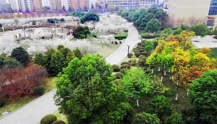 少年派有第二部吗 少年派有没有第二部