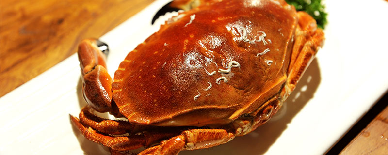 白露节气有哪些海鲜好吃又新鲜 适合白露节气吃的海鲜