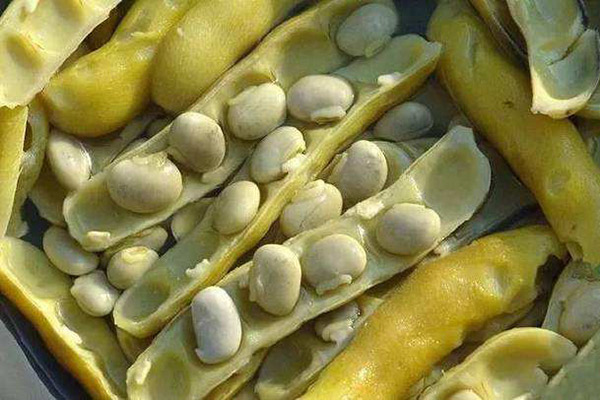 狗爪豆的功效与作用 狗爪豆的功效