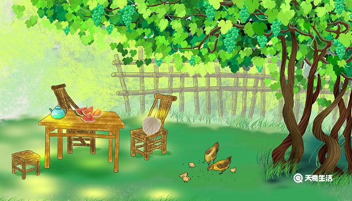 三伏天是什么意思 三伏天的意思