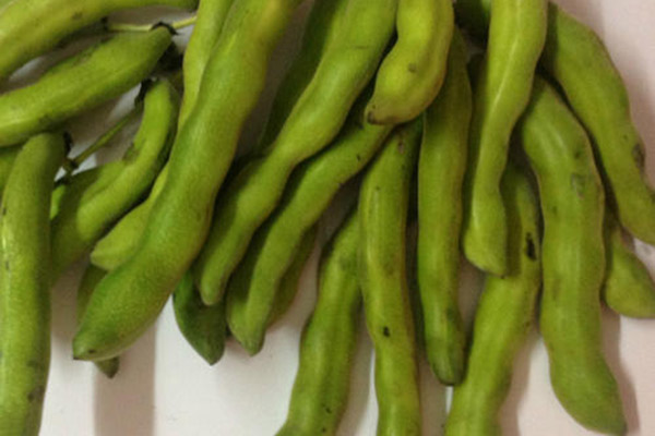 狗爪豆的功效与作用 狗爪豆的功效