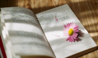 一句话领悟人生（一句话领悟人生的名言）