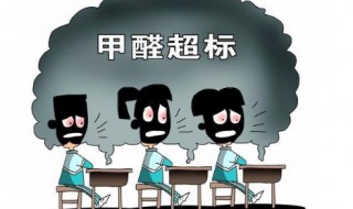 什么东西除甲醛最快 什么东西除甲醛最快?
