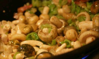 菌子的制作方法（菌子的制作方法视频）