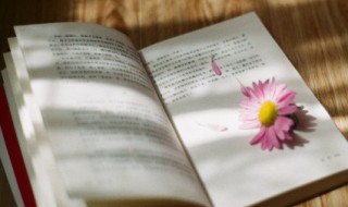 关于经典人生语录 关于经典人生语录摘抄