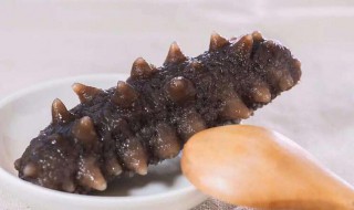 吃海参的功效与作用是哪些 吃海参的功效与作用是哪些食物