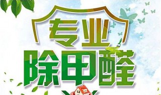 什么可以除甲醛又快又好 什么可以除甲醛又快又好的方法