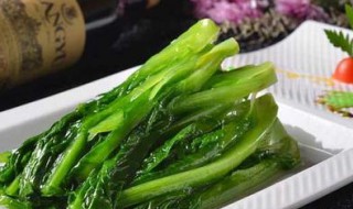 烧油麦菜怎么做好吃（烧油麦菜怎么做好吃窍门）