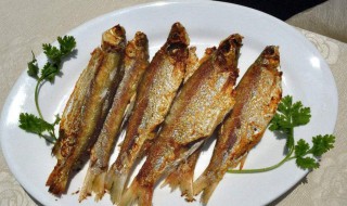 小炸鱼去鱼腥的方法（小炸鱼去鱼腥的方法视频）