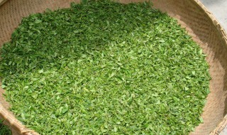 绿茶的10大功效（绿茶的10大功效与作用）