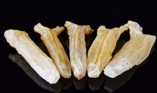 什么鱼膘功效比较好 什么鱼膘功效比较好吃