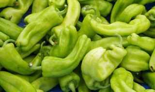 青椒炒鸡肉的做法 青椒炒鸡肉的做法潮汕