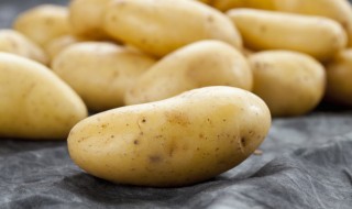 家常土豆炖鸡肉的做法 家常土豆炖鸡肉的做法视频