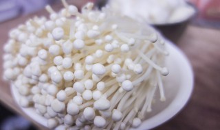 尖椒金针菇家常做法 尖椒金针菇家常做法叫啥菜名