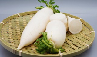 白萝卜炒肉的家常做法 红皮白萝卜炒肉的家常做法