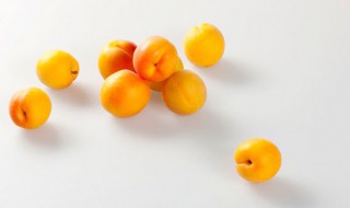 杏怎么吃（糖金杏怎么吃）