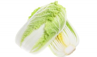 大白菜怎么吃 大白菜怎么吃减肥