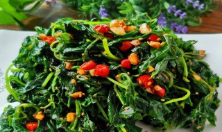 野菜怎么吃（茉莉芽野菜怎么吃）