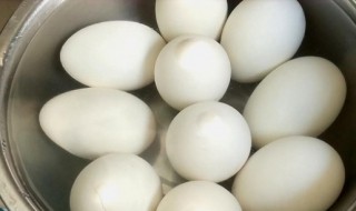 鹅蛋的做法大全家常（鹅蛋的做法大全家常鹅蛋的最佳吃法）
