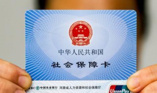 个人社保编号怎么查（个人社保编号怎么查询系统）