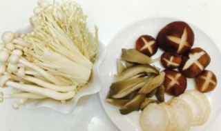 鲜蘑的做法大全家常（鲜蘑的做法大全家常菜视频）