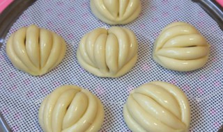 馒头做法（馒头做法和发面全过程）