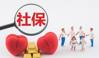 社保缴费怎么查 社保缴费怎么查不到