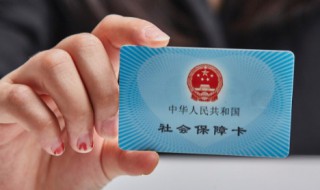 社保怎么查询个人账户 东莞社保怎么查询个人账户