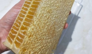 巢蜜怎么吃 原生态蜂巢蜜怎么吃