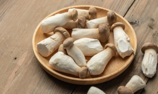 家常炒杏鲍菇的做法 家常炒杏鲍菇的做法大全