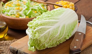 白菜米饭的做法（白菜米饭的做法家常饭）