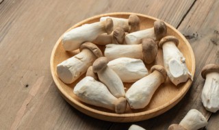 牛肉杏鲍菇的做法 牛肉杏鲍菇的做法视频