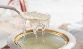 燕窝的做法大全（清炖燕窝的做法大全）