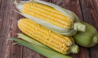 豆角玉米肉的做法（豆角玉米肉的做法视频）