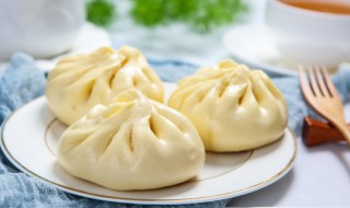 洋葱包包子的做法 洋葱大包子怎么做好吃法