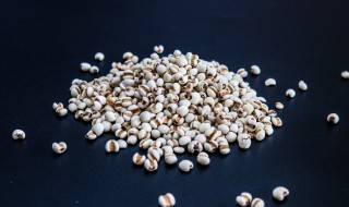 薏仁饭的做法（薏仁饭的做法和功效）