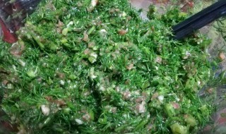 茴香包饺子用焯水吗 茴香包饺子用水焯一下吗