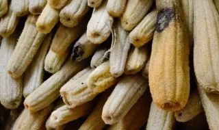 丝瓜干怎么晒啊 丝瓜干怎样晒