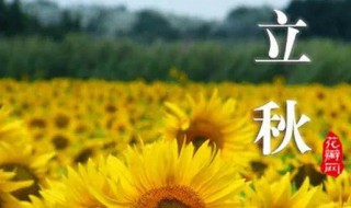 立秋节气吃什么食物 立秋节气吃什么食物最好